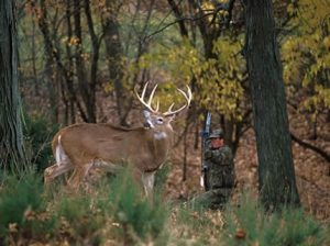 whitetail-deer-bow-hunting