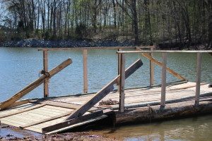 IMG_4314-300x200