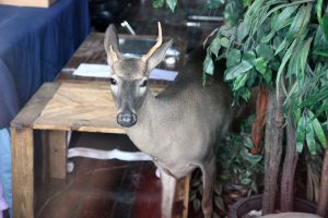 img_2101