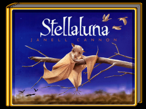 stellaluna-win-1-full