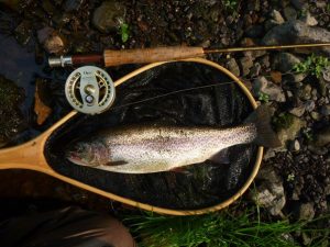 elktrout1