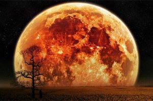 moon-759x500