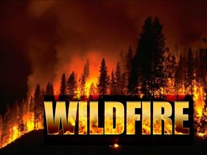 wildfire