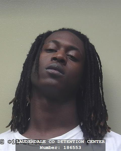 MEDIA ARREST FILE 011519-52