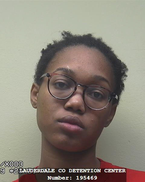media arrest file 021919-35