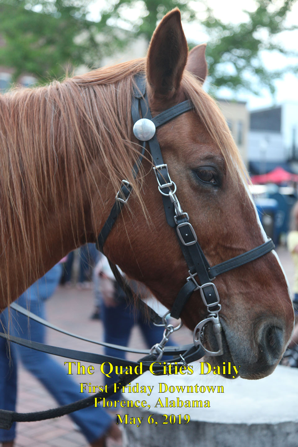 First Friday Florence 05032019 (123)