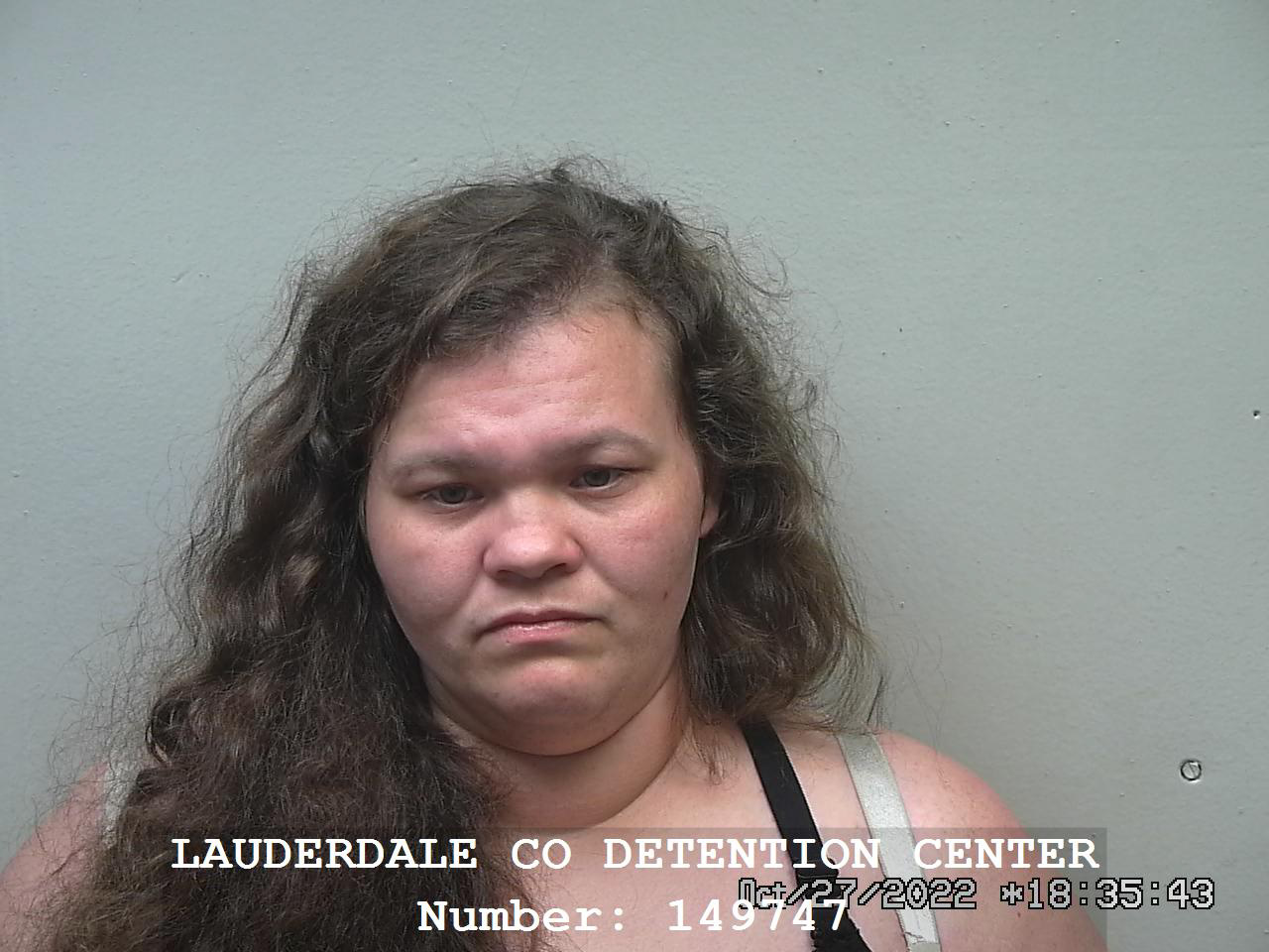 FPD Arrest Summary 10-27-2022-4