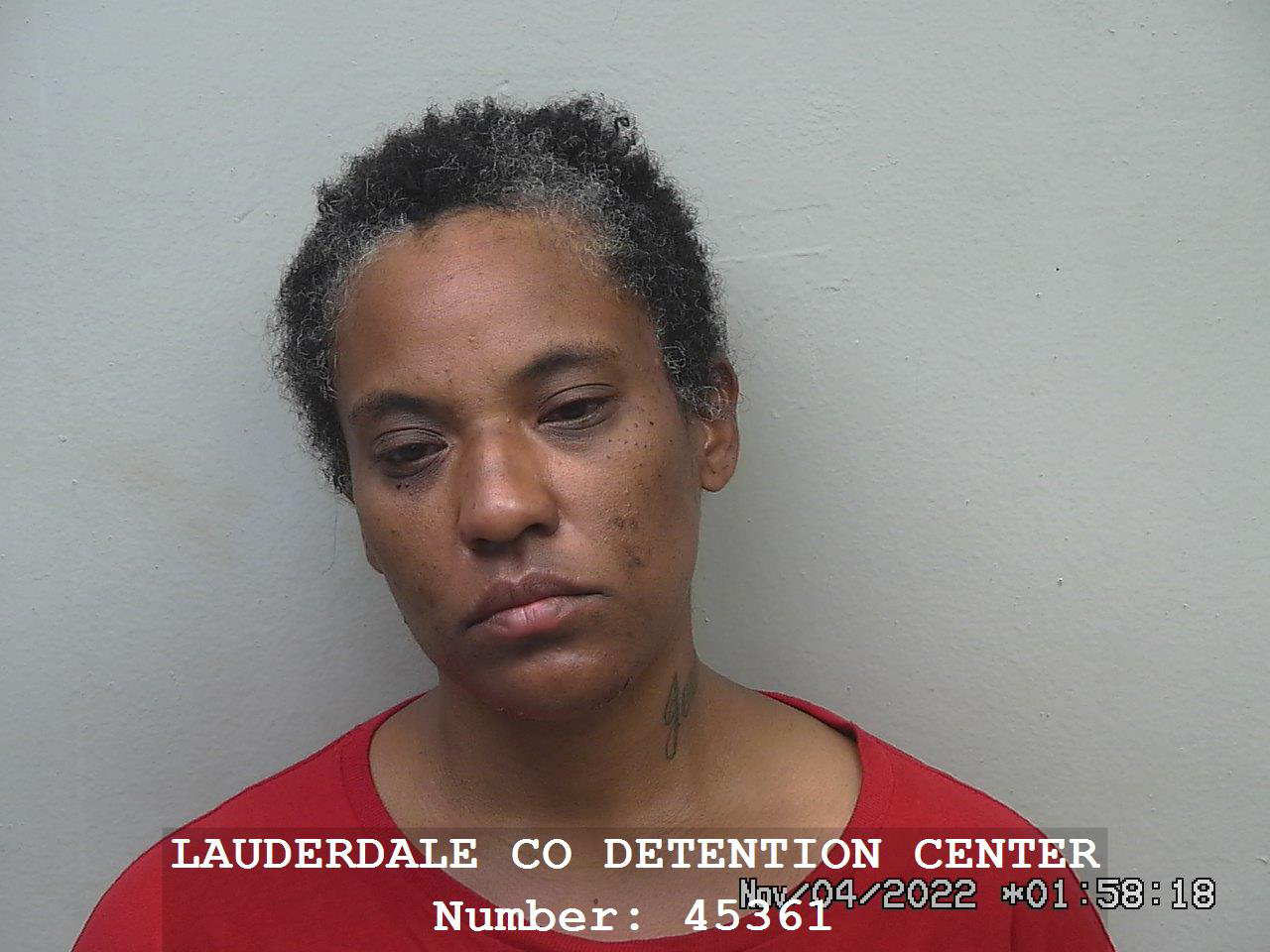 FPD Arrest Summary 11-03-2022-7