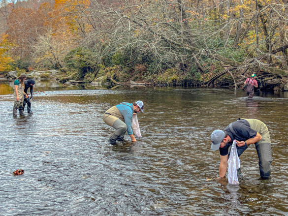 tva-s-biologists