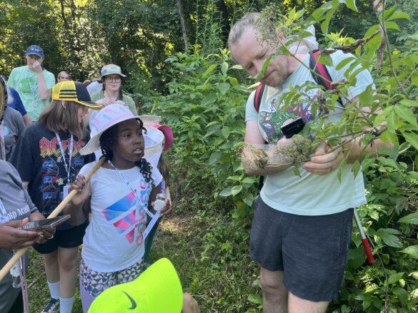 BioBLitz1
