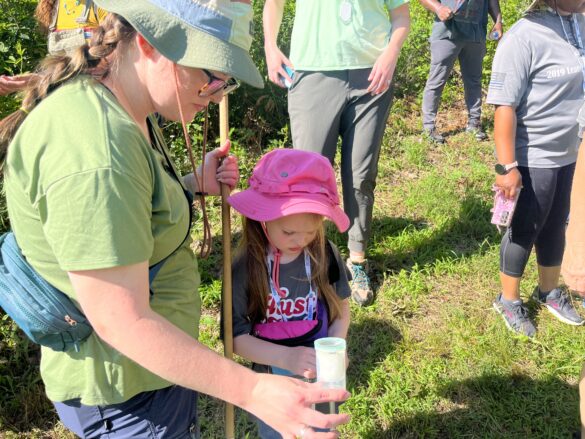 BioBlitz